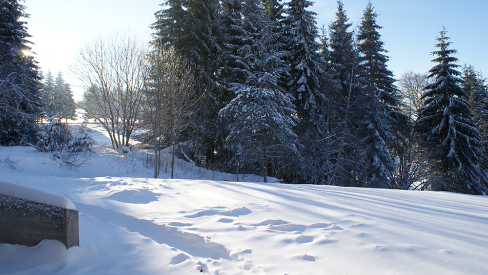 Alentours-jardin-sous-la-neige