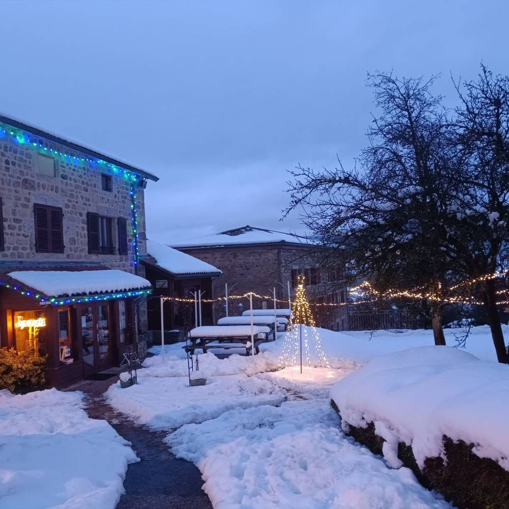 La terrasse du sully (4)